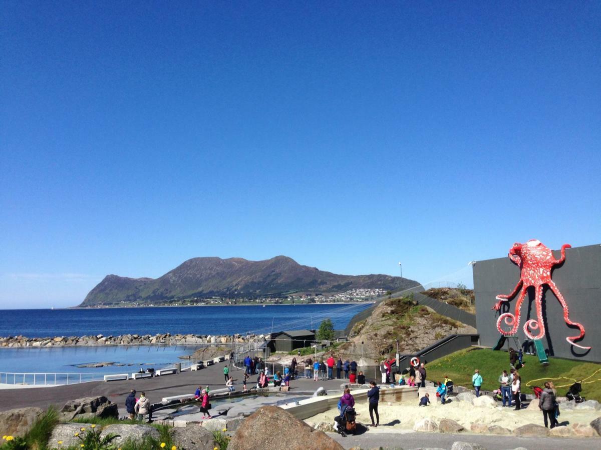 Hotel Four Monkeys Ålesund Exteriér fotografie
